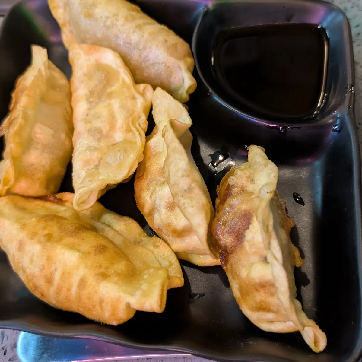 Deep-Fried Chicken Dumplings 鸡肉煎饺